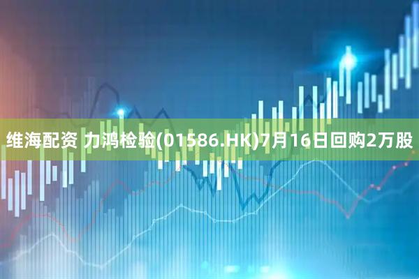 维海配资 力鸿检验(01586.HK)7月16日回购2万股