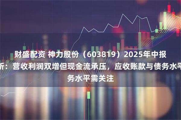 财盛配资 神力股份（603819）2025年中报财务分析：营收利润双增但现金流承压，应收账款与债务水平需关注